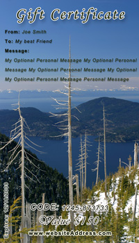 Seattle Fine ART Gift Certificates & Gift Cards